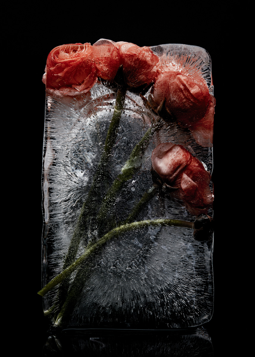 hannah-caldwell-still-life-photographer-melbourne-hcp