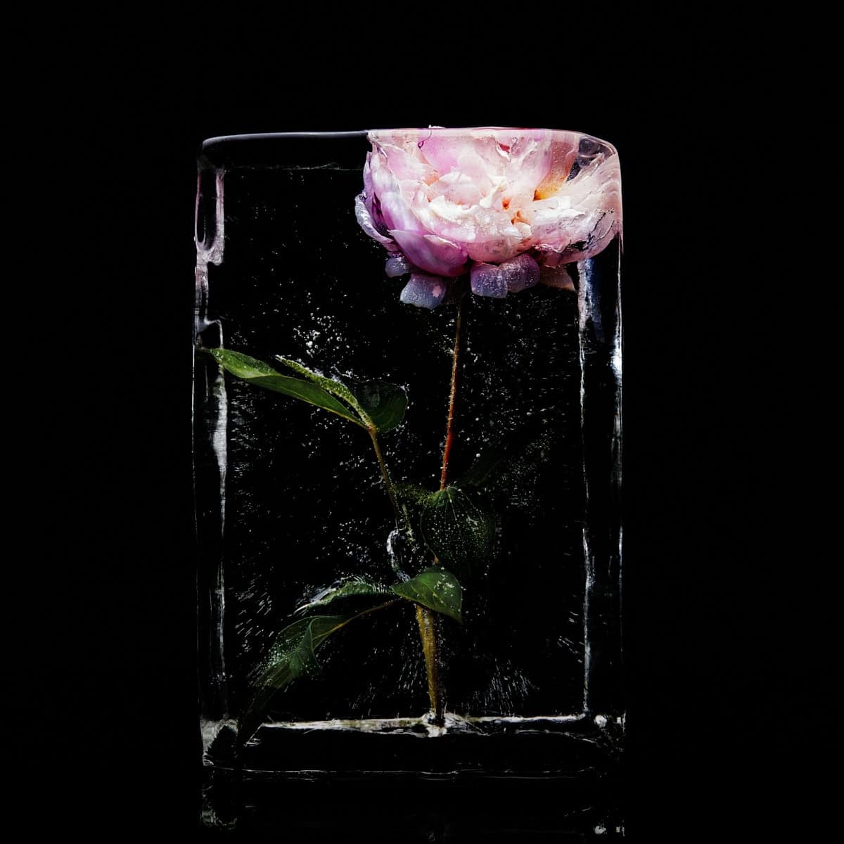 Ice Photography