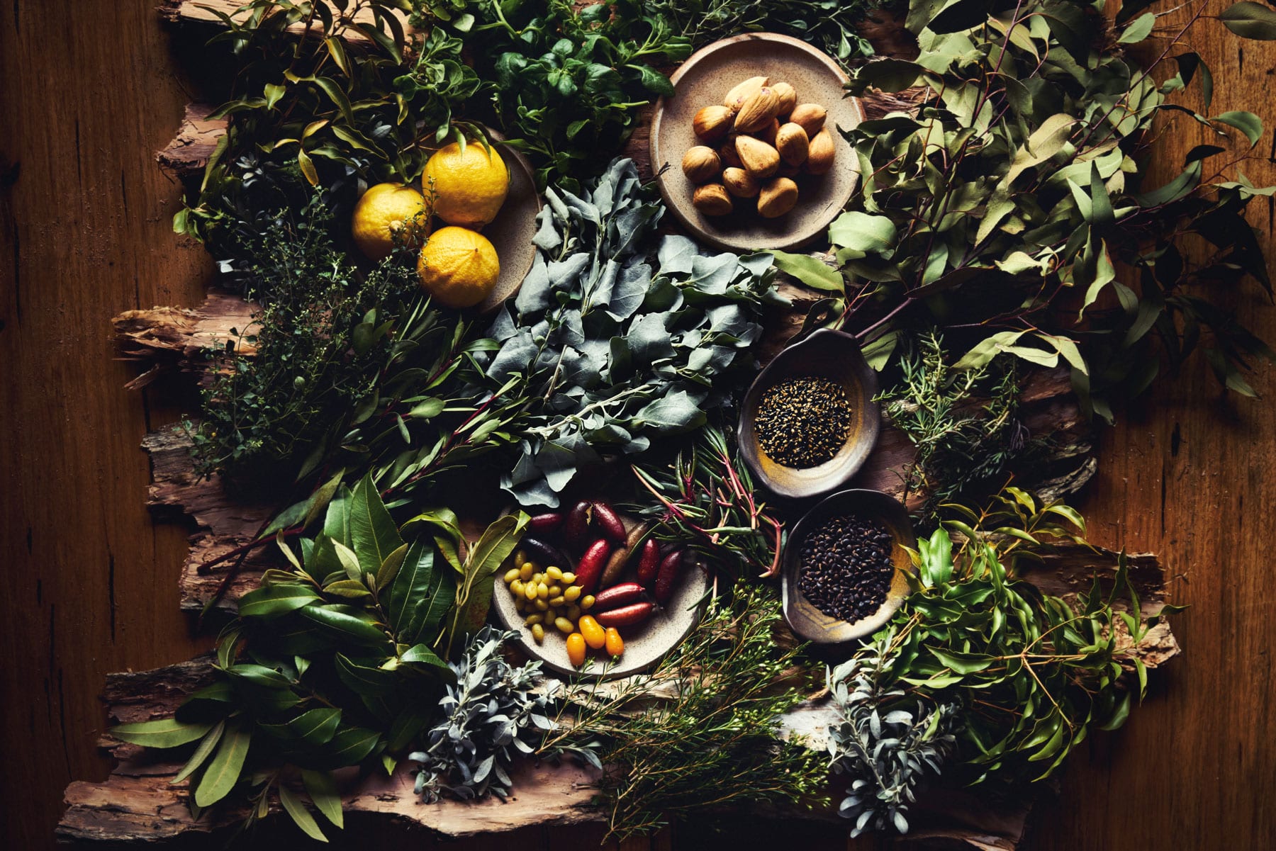 RitzCarlton Melbourne Hannah Caldwell Native Ingredients 1 Food Photography